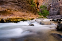 Took this pic in the Narrows Zion NP  last week blown away by the beauty of Utah