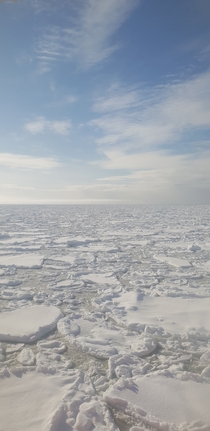 Took this picture in the barentz sea last year This year at the same location there was no ice x