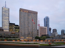 Toronto Skyline from City Hall Green Roof 
