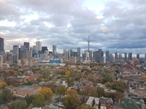 Toronto Skyline From My Building