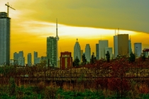 Toronto Sunset 