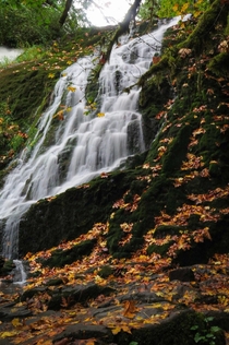 Touch of fall at Green Peak Falls OR 