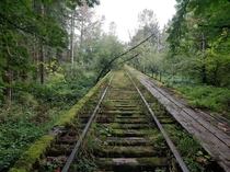 Tracks in the trees