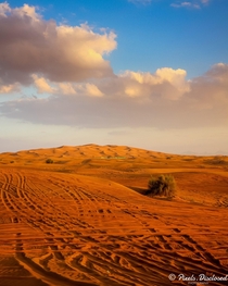 Tracks left in the desert sand at sunset outside Dubai  IG Pixelsdisclosed 