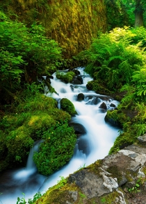 Trail to fairy falls alongside Wakeena creek Columbia River Gorge Oregon 