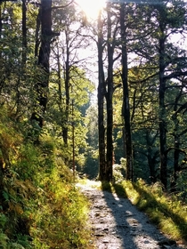 Trail To Naini Peak India 