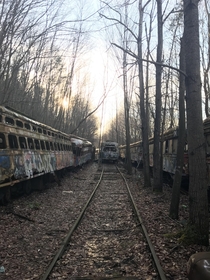 Train graveyard my friends and I explore It goes on for at least a mile and has such an eerie feeling