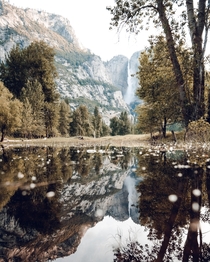 Tranquil mornings in Yosemite Yosemite Valley CA 