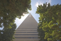 TransAmerica Pyramid Building - San Francisco CA USA 