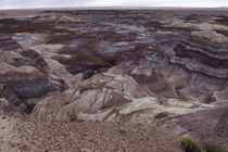 Transported to another planet in the Blue Forest at Petrified Forest National Park 