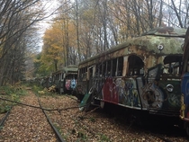 trolly cars left in forest Pennsylvania USA