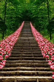 Tulip lined staircase in Kyoto Japan