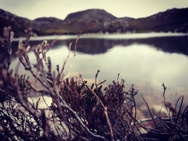 Tully Mountain Ireland  Instagram adam_staes