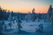 Twilight On A Fellside  x Lapland Finland