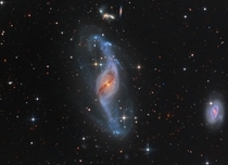 Twisting with NGC  -- A mere  thousand light-years to the right is another large spiral galaxy NGC  The two are likely interacting gravitationally accounting for the peculiar appearance of NGC  