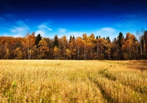 Typical Russian autumn near Sergiev Posad 