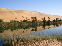 Ubari Oasis Libya 