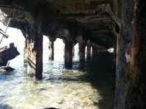 Underside of the Mala Wharf located in Lahaina Maui Built in  with the purpose of loading and unloading goods and passengers aboard steamships Now a popular dive spot for locals and tourists