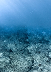 Underwater Earthporn Bimini Bahamas