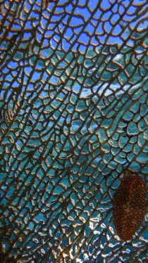 Underwater Mosaic - - Jibacoa CUBA 
