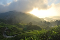 Unedited sunrise in the Cameron Highlands of Malaysia 
