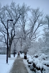 University of Colorado Boulder  