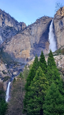 Upper and Lower Yosemite Falls at Yosemite CA 