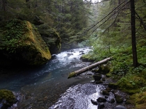 Upper Dungeness River Olympic National Forest Washington US 
