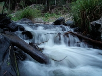 Upper Nerang river Australia x