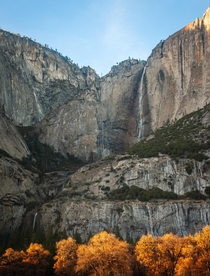 Upper Yosemite Falls over Autumn leaves 