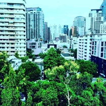 Urban jungle in Bangkok Thailand 