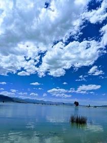 Utah Lake State Park 