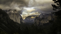 Valley at the Yosemite National Park California 