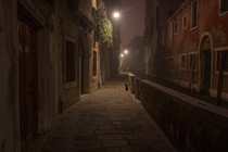 Venetians cat Le calli at night  xpost from rItalyPhotos