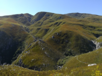 Verdant hills of Hermanus South Africa 