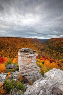 Vibrant early fall colors in Blackwater Falls State Park West Virginia  jeremy_riffe_