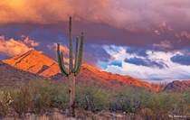 Vibrant Sunset Landscape In North Scottsdale AZ Desert Preserve 