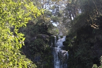 Victorian Waterfall AUSTRALIA 