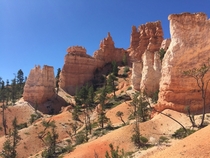 View from a hike  Bryce Canyon National Park Utah 