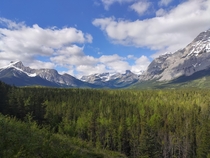 View from a horse riding trail in Kananaskis Canada 