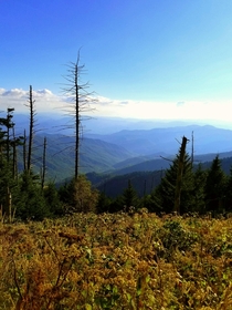 View From Clingmans Dome Tennessee 