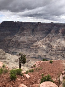 View from Guano Point of the Grand Canyon 