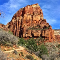View from the bottom of Angels Landing in Zion NP Utah OC x