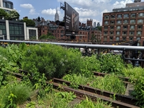 View from the High Line Empire State Building in the background Manhattan New York City