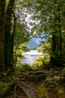 View from the Milford Track New Zealand in December  