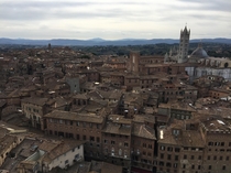View from the Tower of Mangia Siena Italy