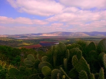 View from Tzipori Israel 