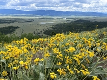 View of Jackson Hole from Signal Mountain in Grand Teton National Park Wyoming   x 