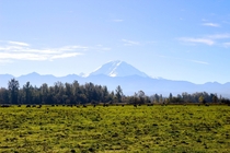 View of Mount Rainier from the countryside 