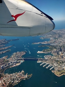 View of Sydney Harbour from a plane